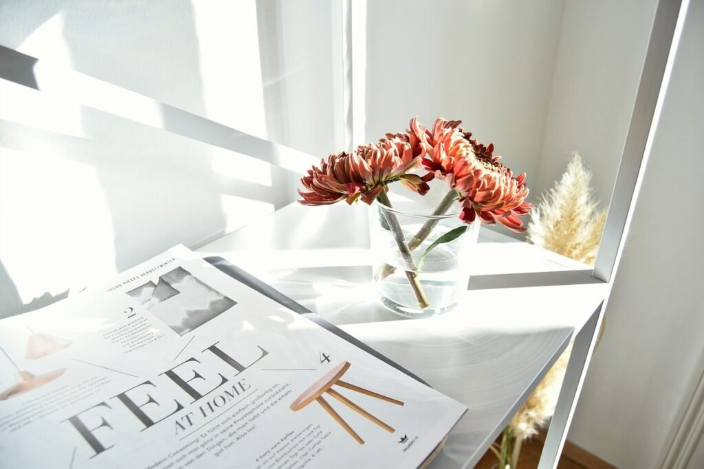 Dolum magazine : les meilleures tendances décoration